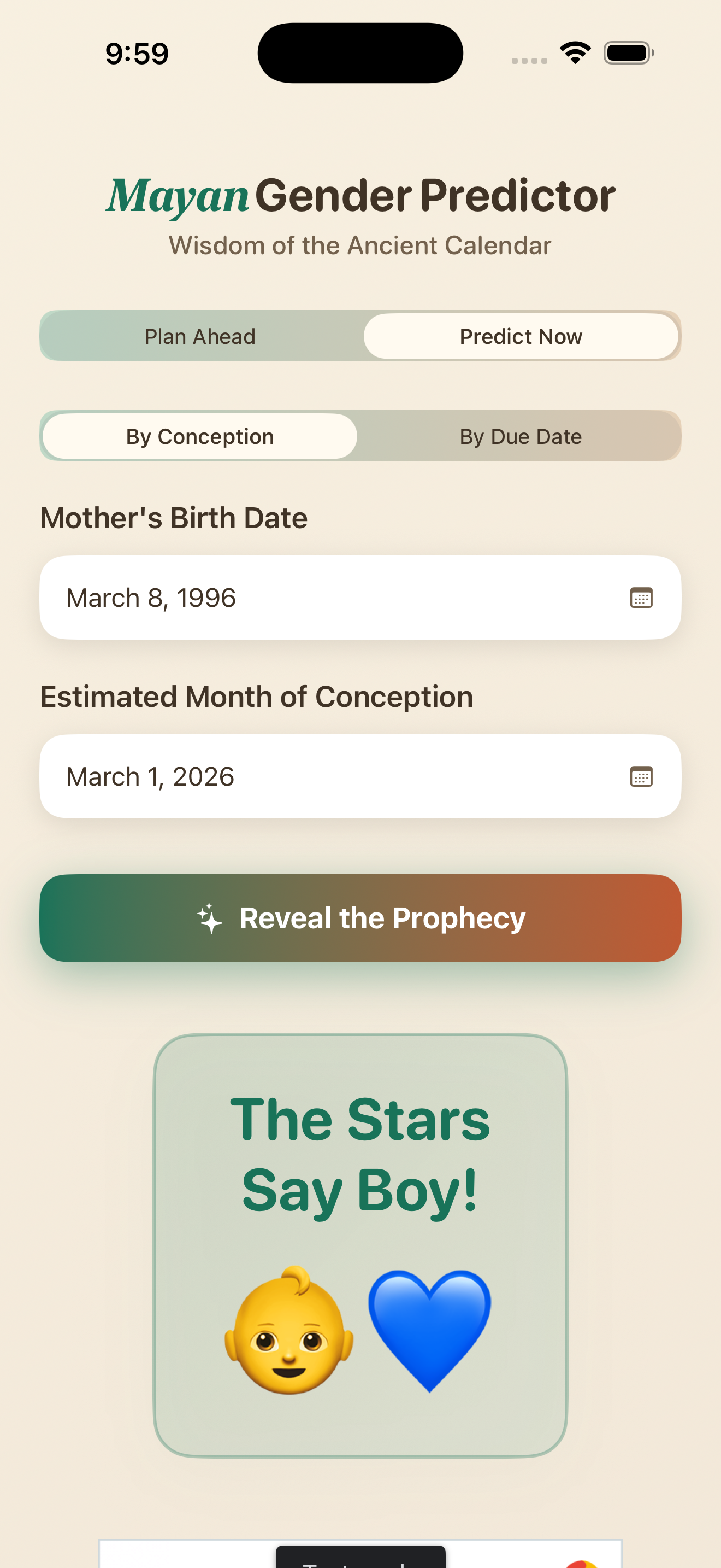 Mayan Gender Predictor - Planning Screen